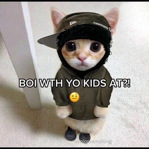 Meet your Posher, Diego